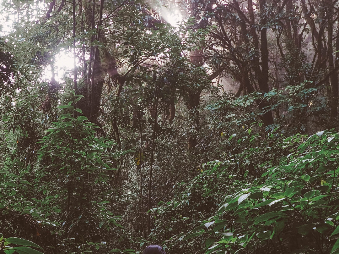 Nature Trails Ang Ka-宗通必去景点