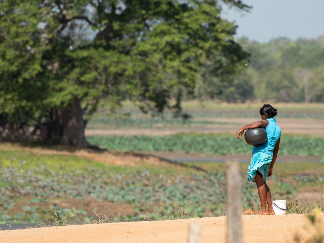 索洛瓦度假村水疗主图