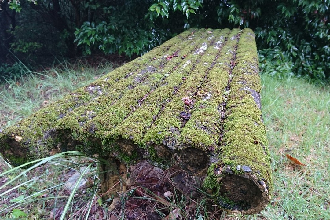 Takabutoyama Lookouts-上天草市必去景点