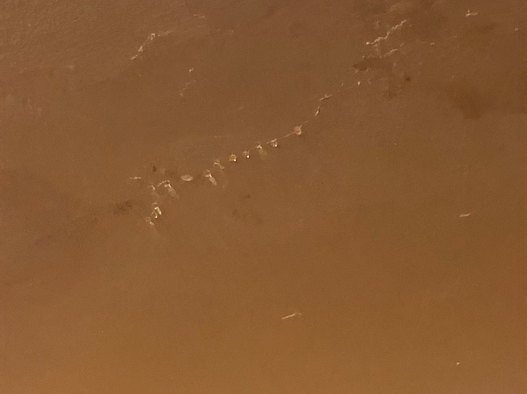 Hotel Casa Danna主图