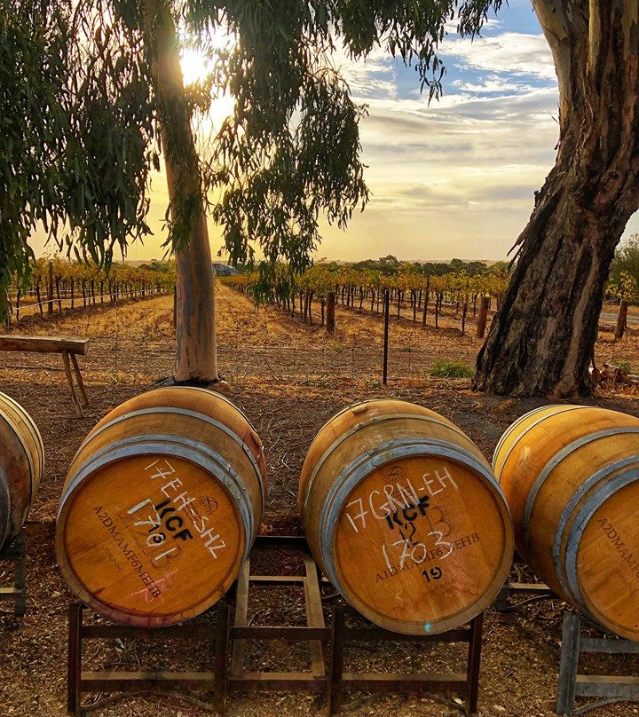 Krondorf Creek Farm-巴罗莎山谷必去景点
