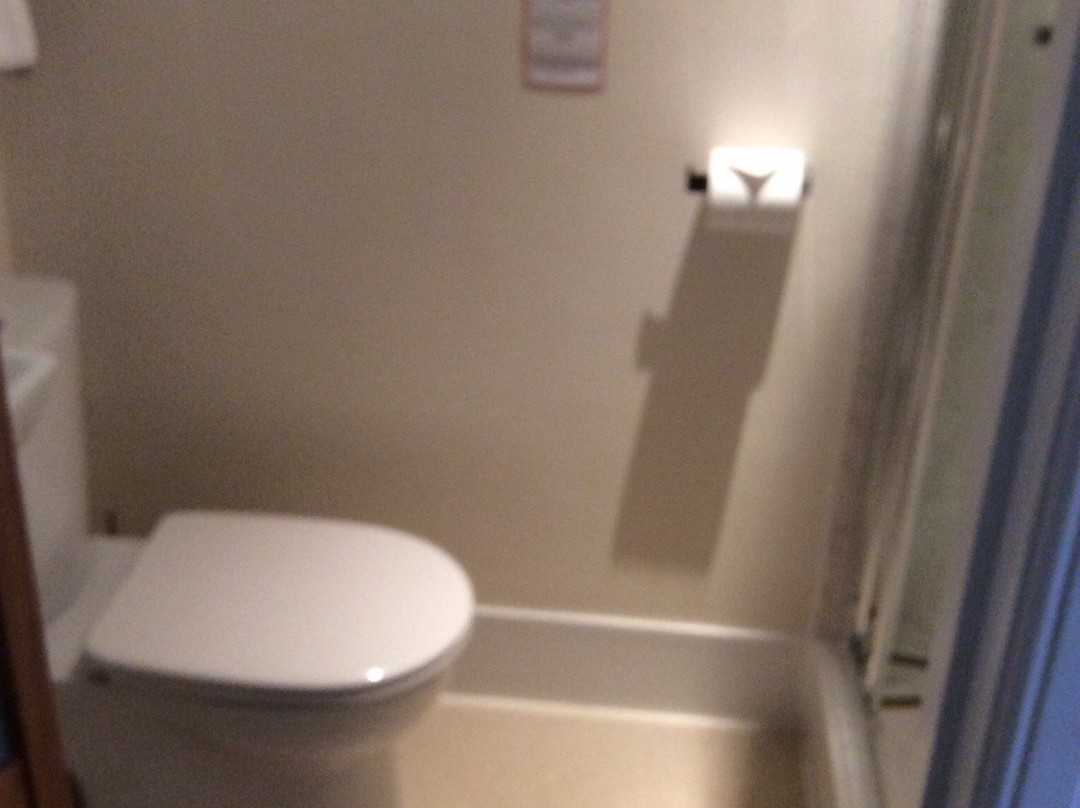 Willowbank Guesthouse主图