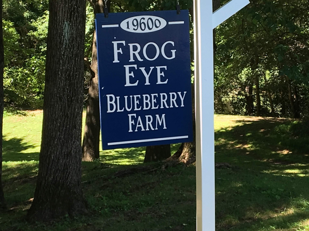 Frog Eye Farm景点图片