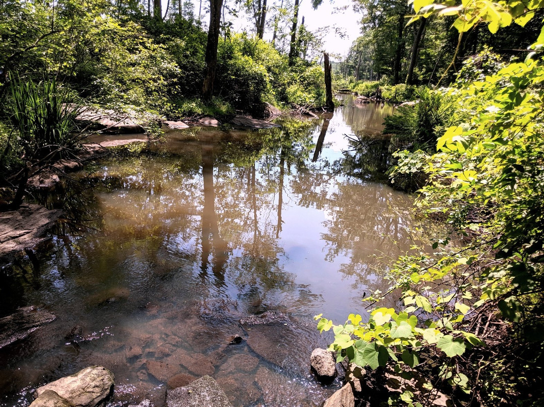Broad Meadow Brook Conservation Center & Wildlife Sanctuary-伍斯特必去景点