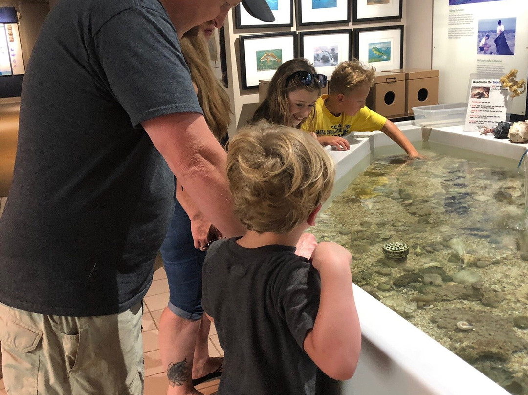 Sea Center Texas-Lake Jackson必去景点