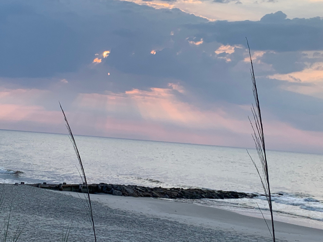 The Pelican Inn主图