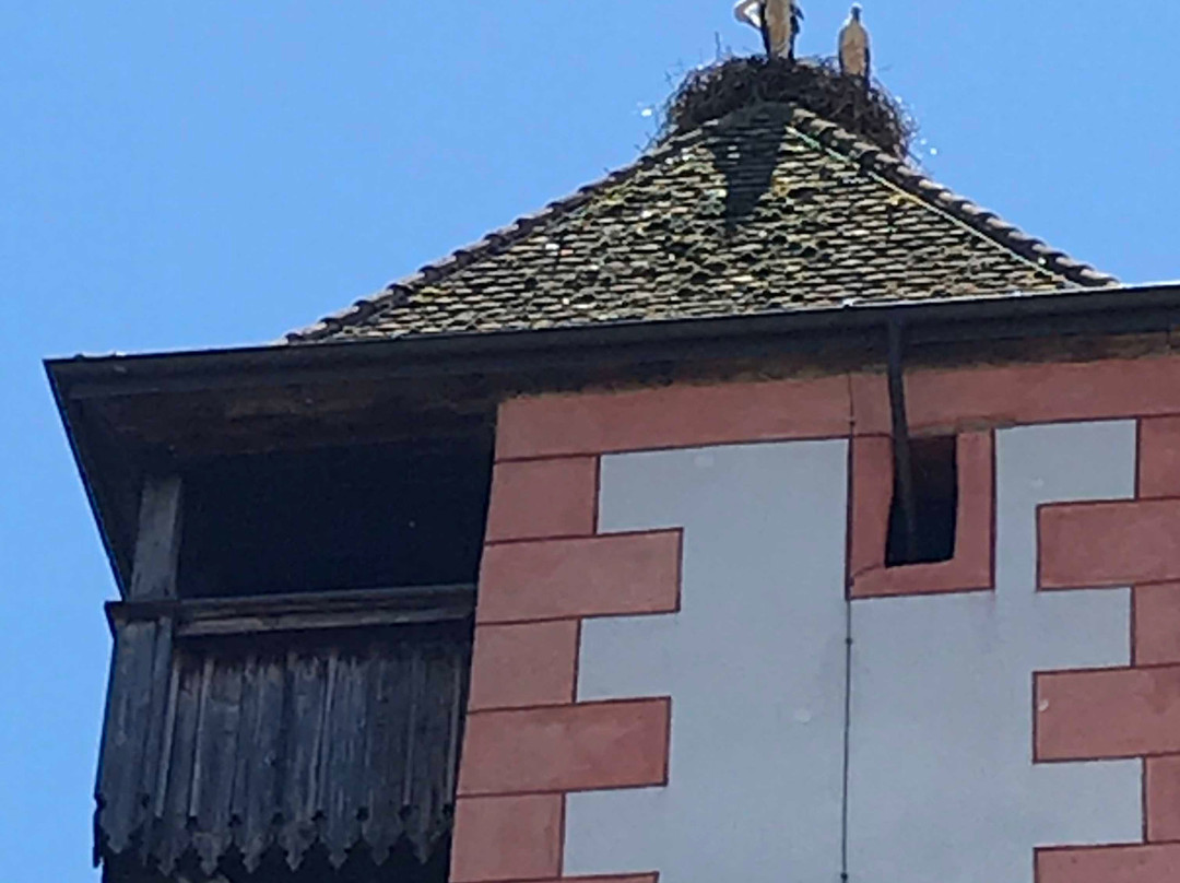 Storchennestturm-Rheinfelden必去景点
