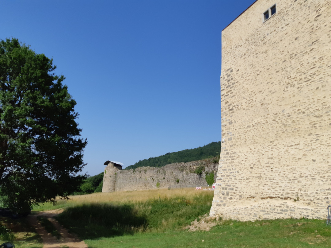 Chateau des Allymes-Amberieu-en-Bugey必去景点
