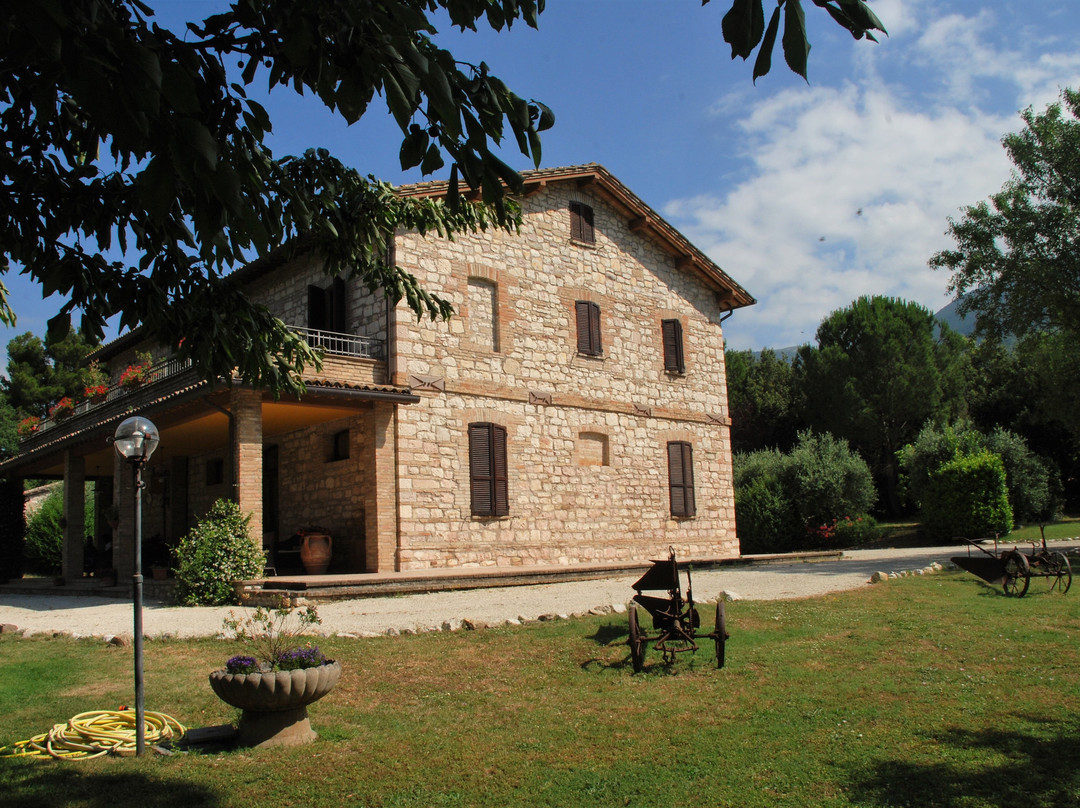 Agriturismo Il Giardino dei Ciliegi主图
