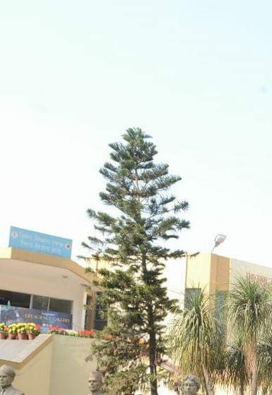 District Science Centre景点图片