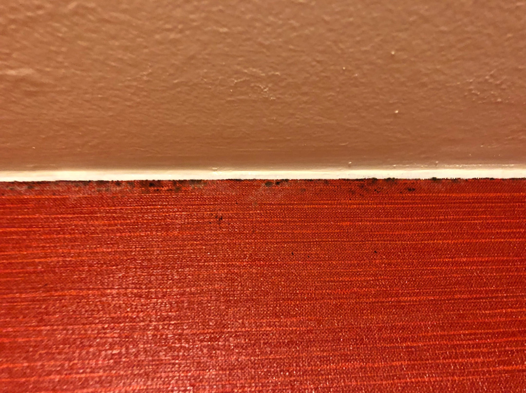 伯明翰胡佛万怡酒店主图