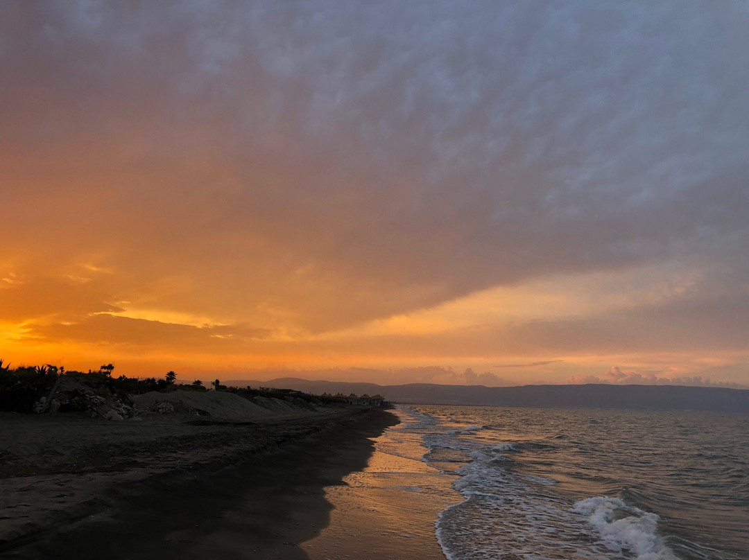 Beach Club Ippocampo主图