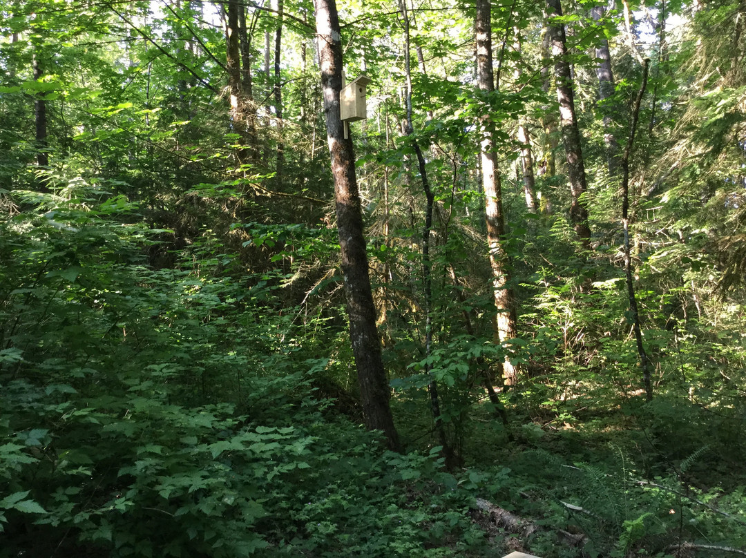 Spirit Trail Walk-哈里逊温泉必去景点