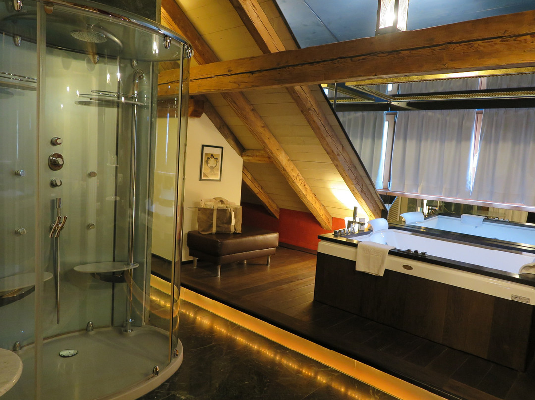 阿德勒酒店主图