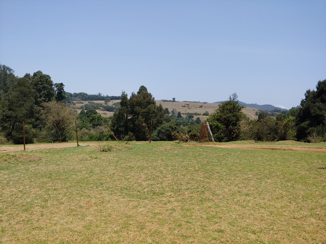 Ootacamund Gymkhana Golf Club景点图片