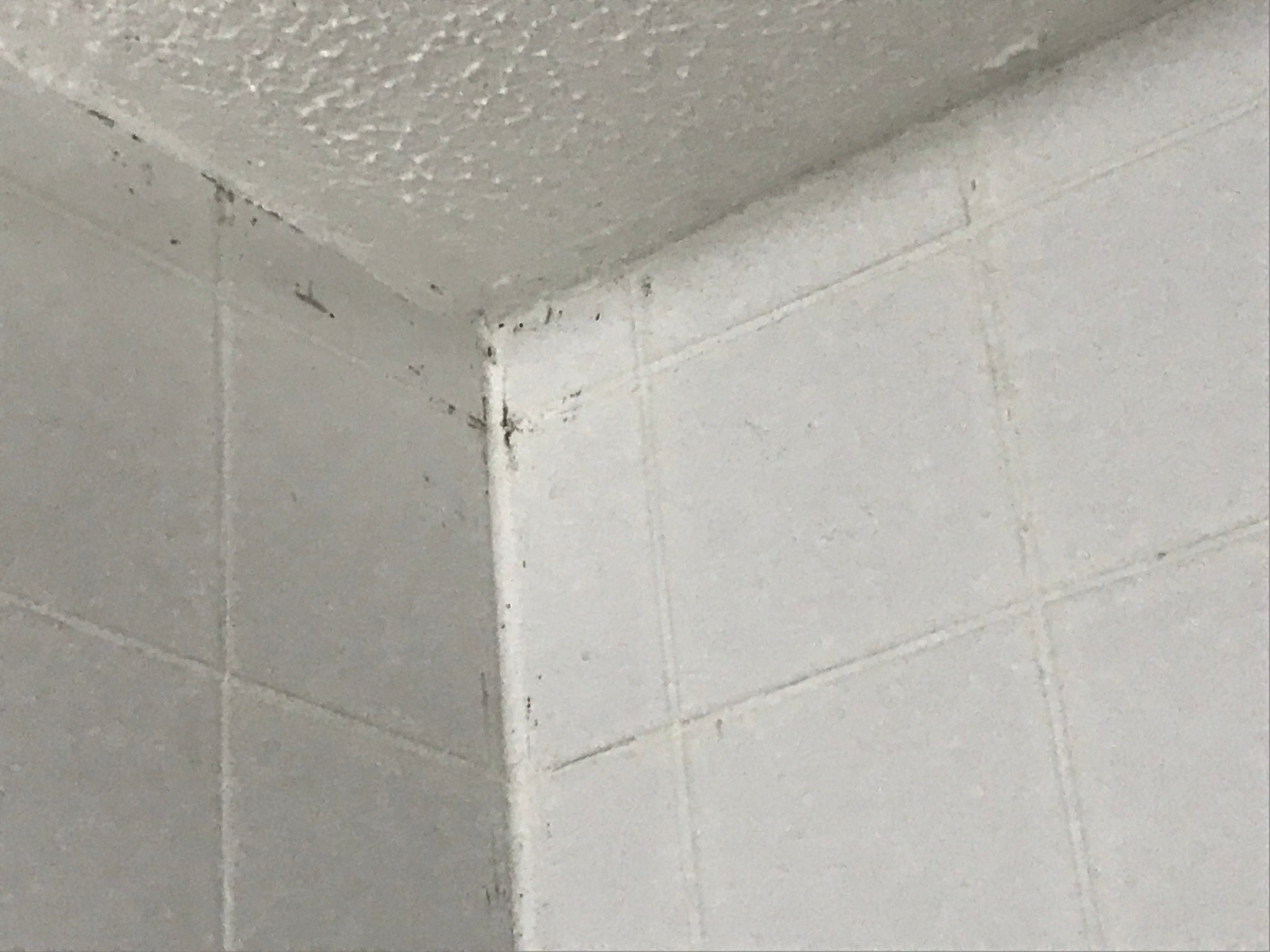 乔治贝斯特韦斯特酒店-浴室