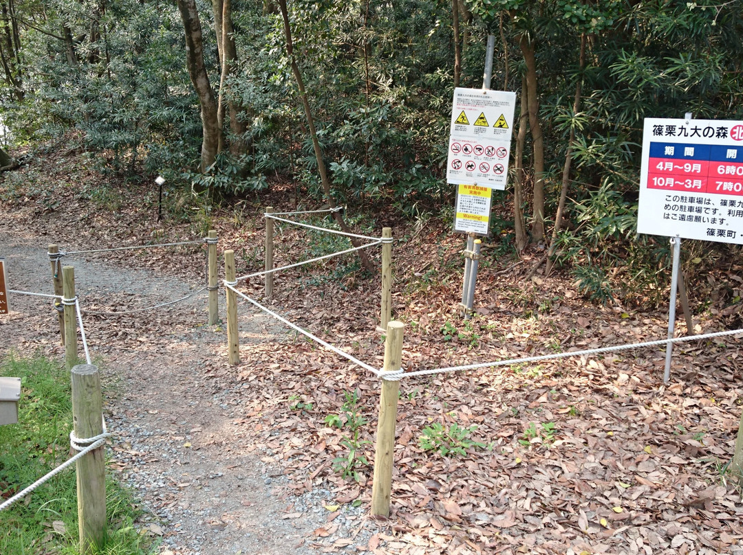 Sasaguri Kyushu University Forest景点图片