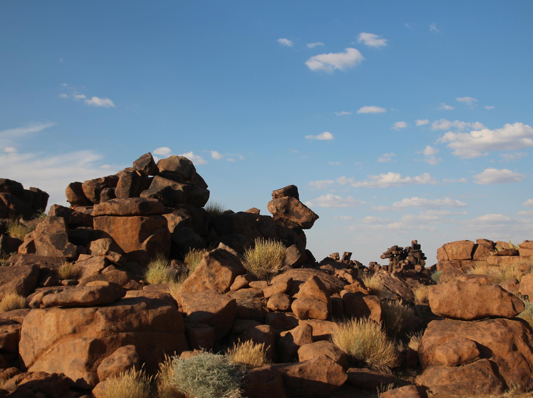 Quivertree Forest and Giant's Playground景点图片