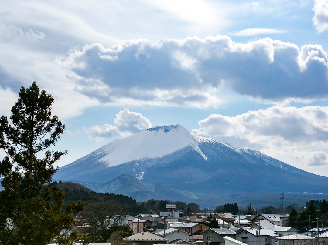 Business Hotel Nishine主图