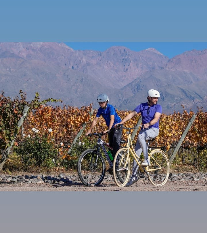 Clos de los Siete景点图片