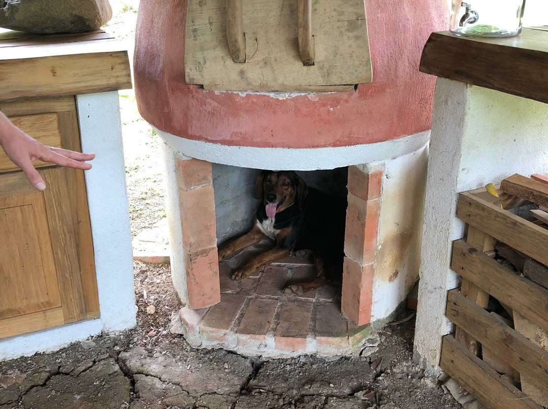 Hacienda Mil Bellezas景点图片