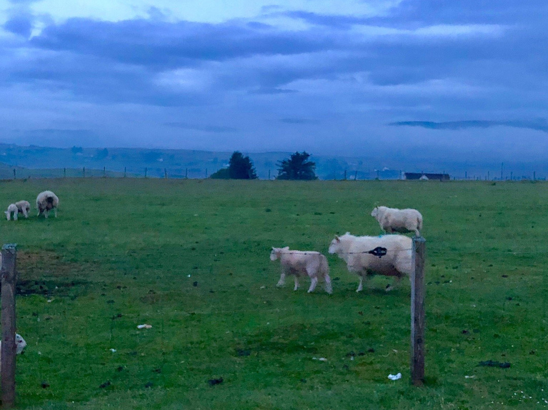 House on the Falls主图