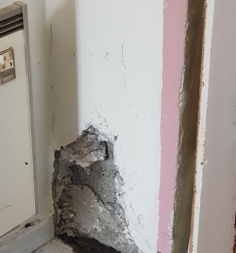 Guesthouse Hafnarnes主图