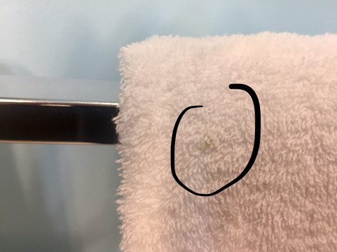 蓝鸟汽车旅馆主图