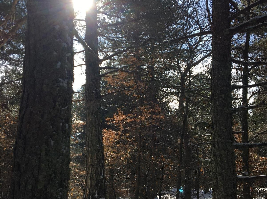 Ala Noleggio-卡塔尼亚必去景点