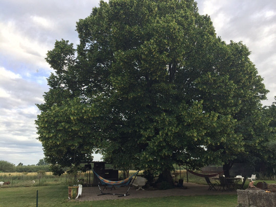 Les Jardins du Rebaut主图