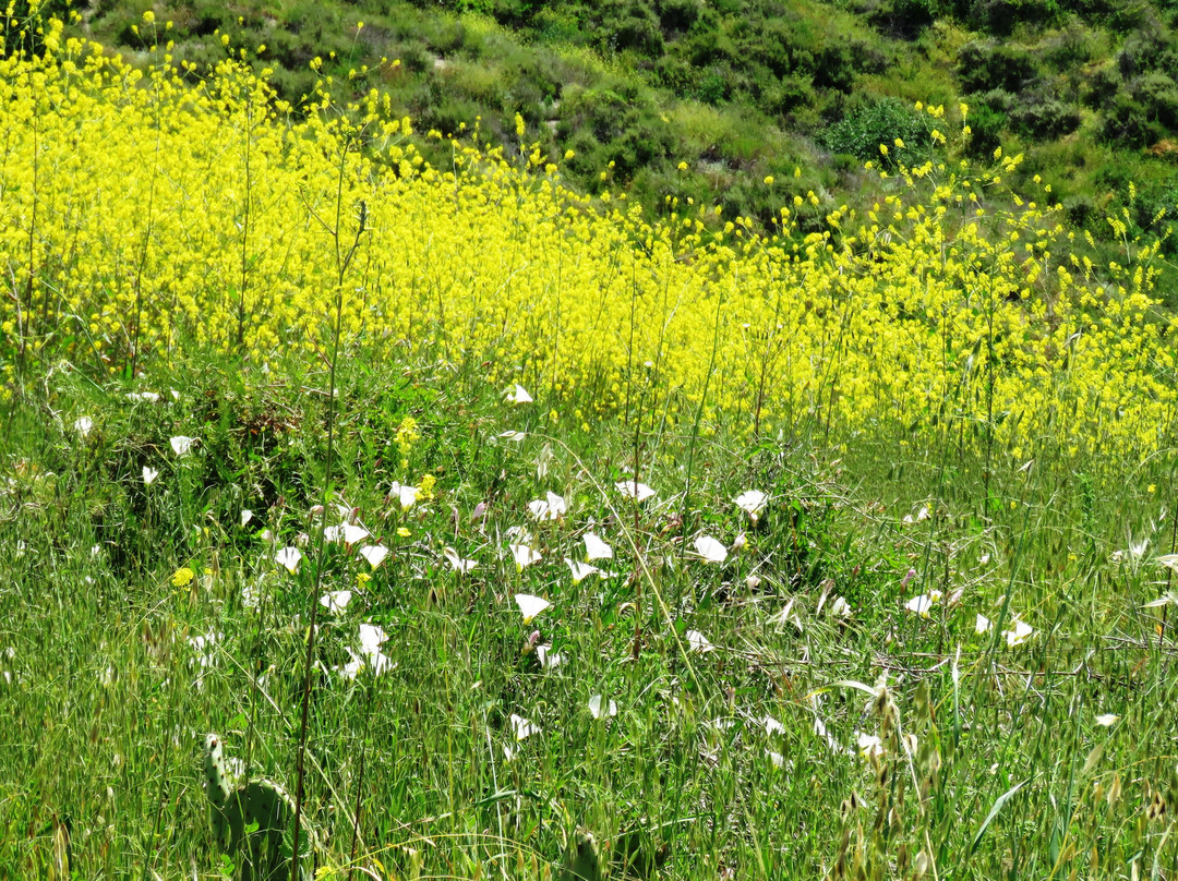Thomas F. Riley Wilderness Park-Trabuco Canyon必去景点