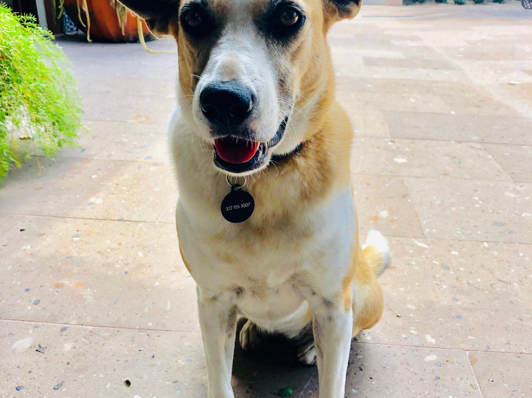 Hacienda de la Costa主图