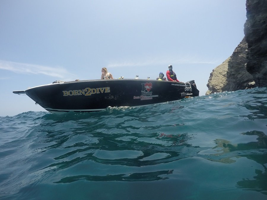Santa Marta Dive and Adventure景点图片