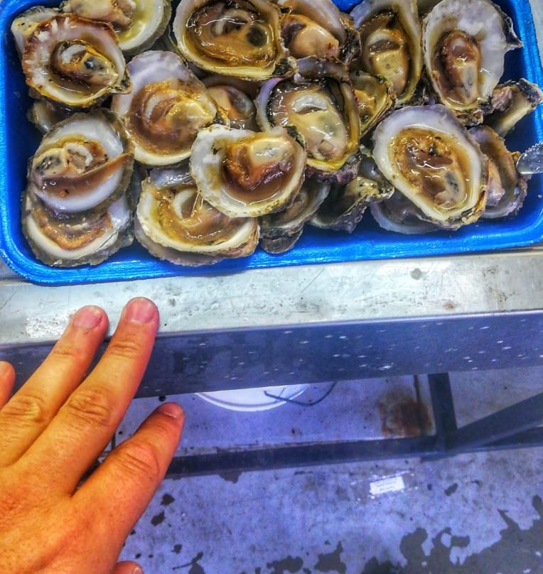 Feria Campesina Yumbel-Castro必去景点