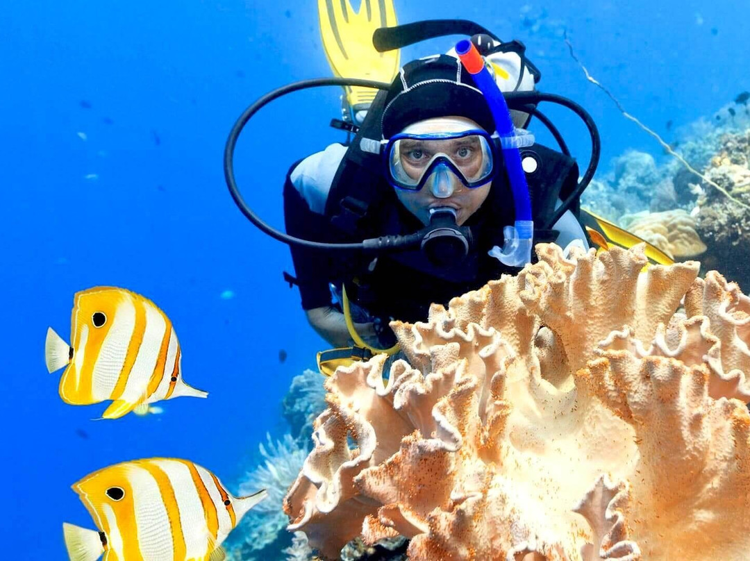 Got Your Guides-赫尔格达必去景点