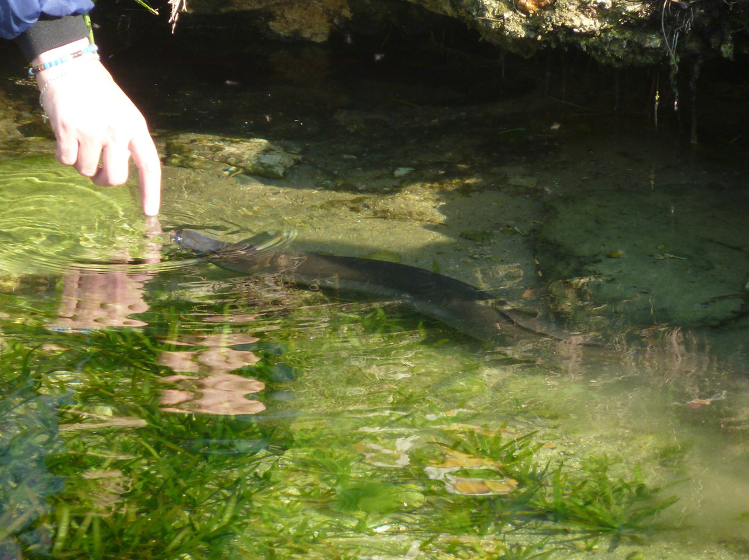 Stilbaai Toerisme-斯特尔拜必去景点