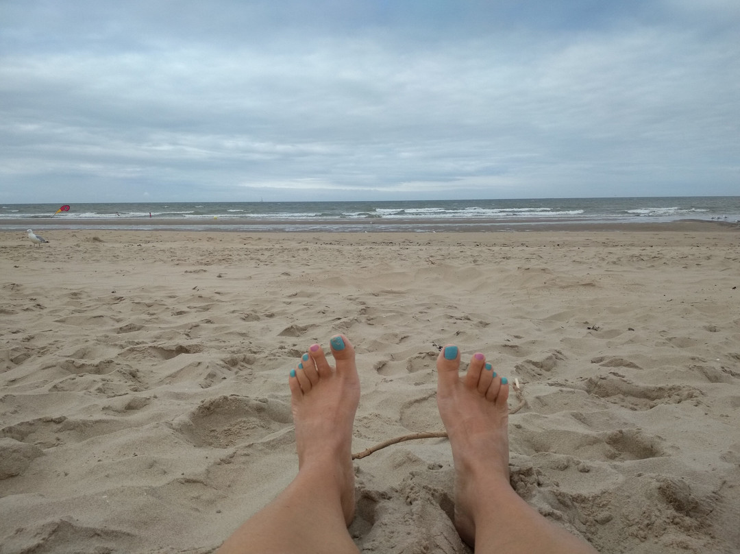 Naaaktstrand Bredene-布雷德内必去景点