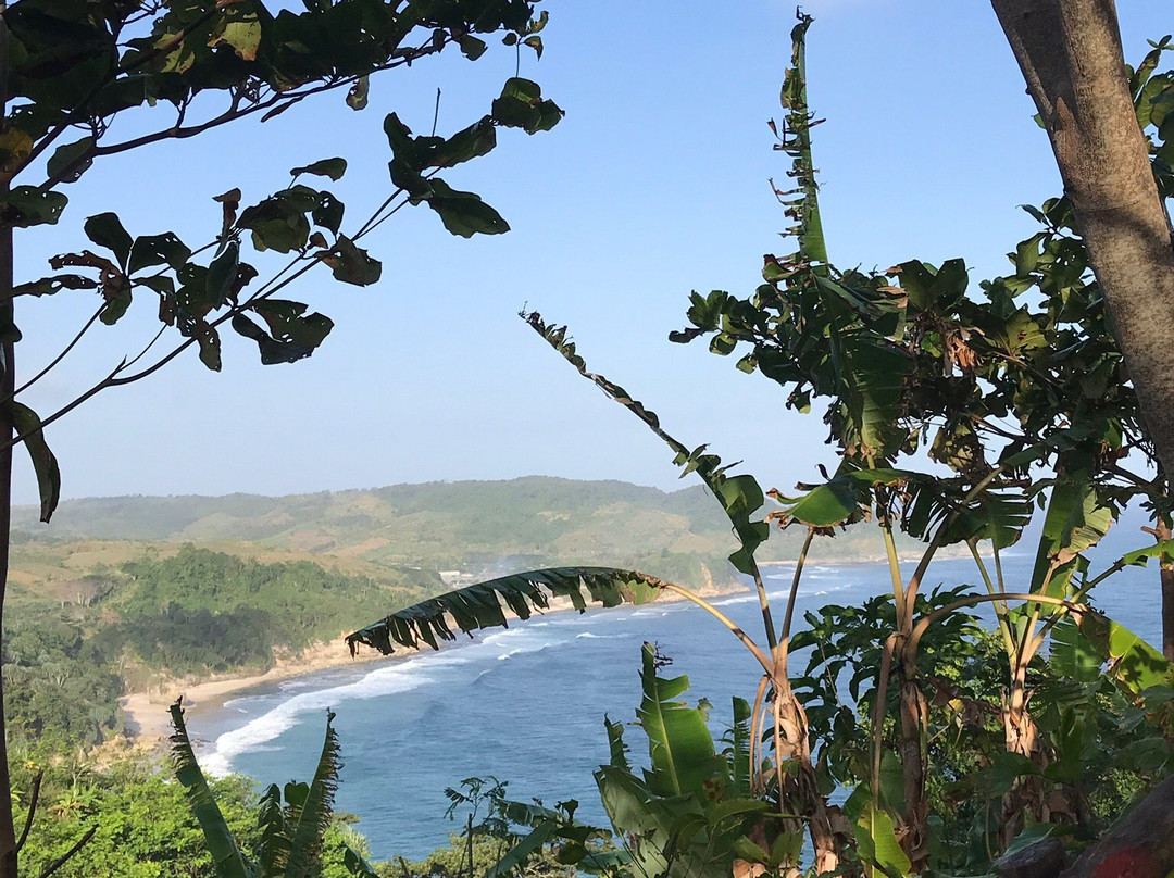 Pantai Kedung Tumpang景点图片