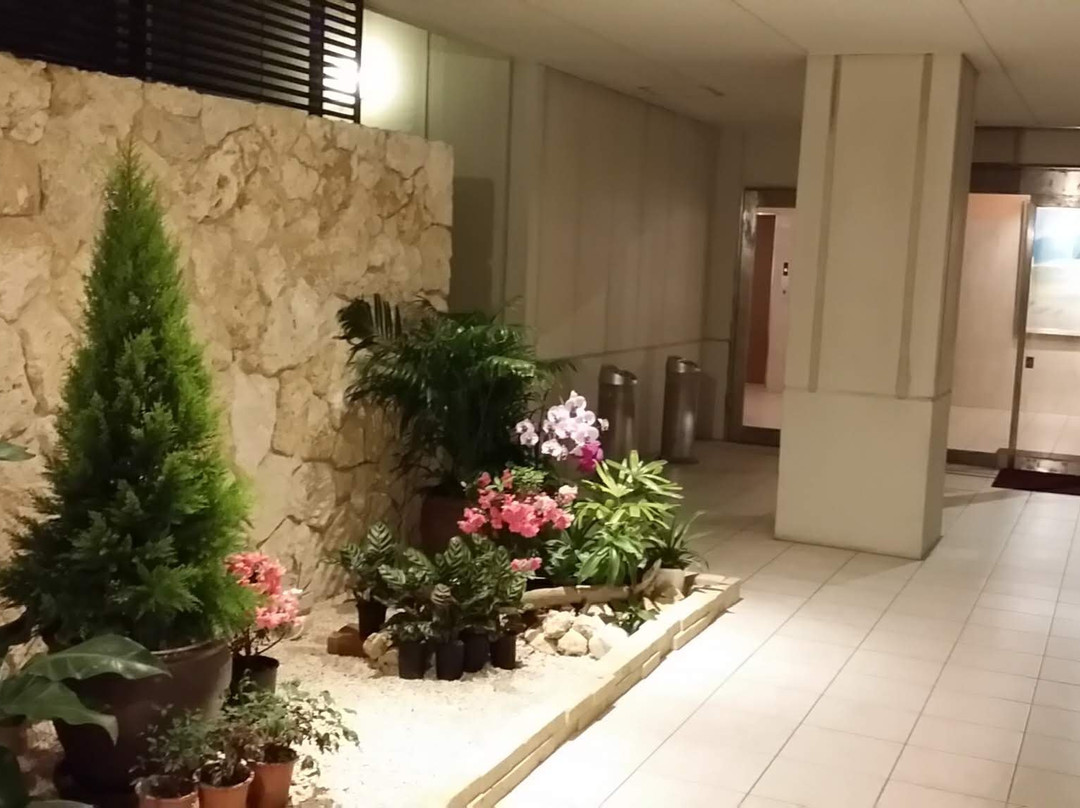 冲绳余家弗酒店主图