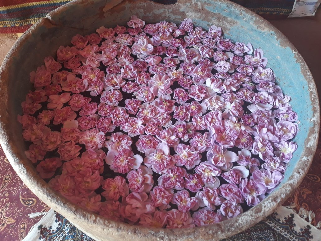 ArgeGoogad Hotel主图