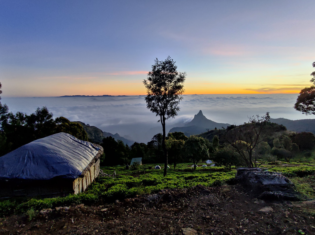 Alpas Camps And Resorts