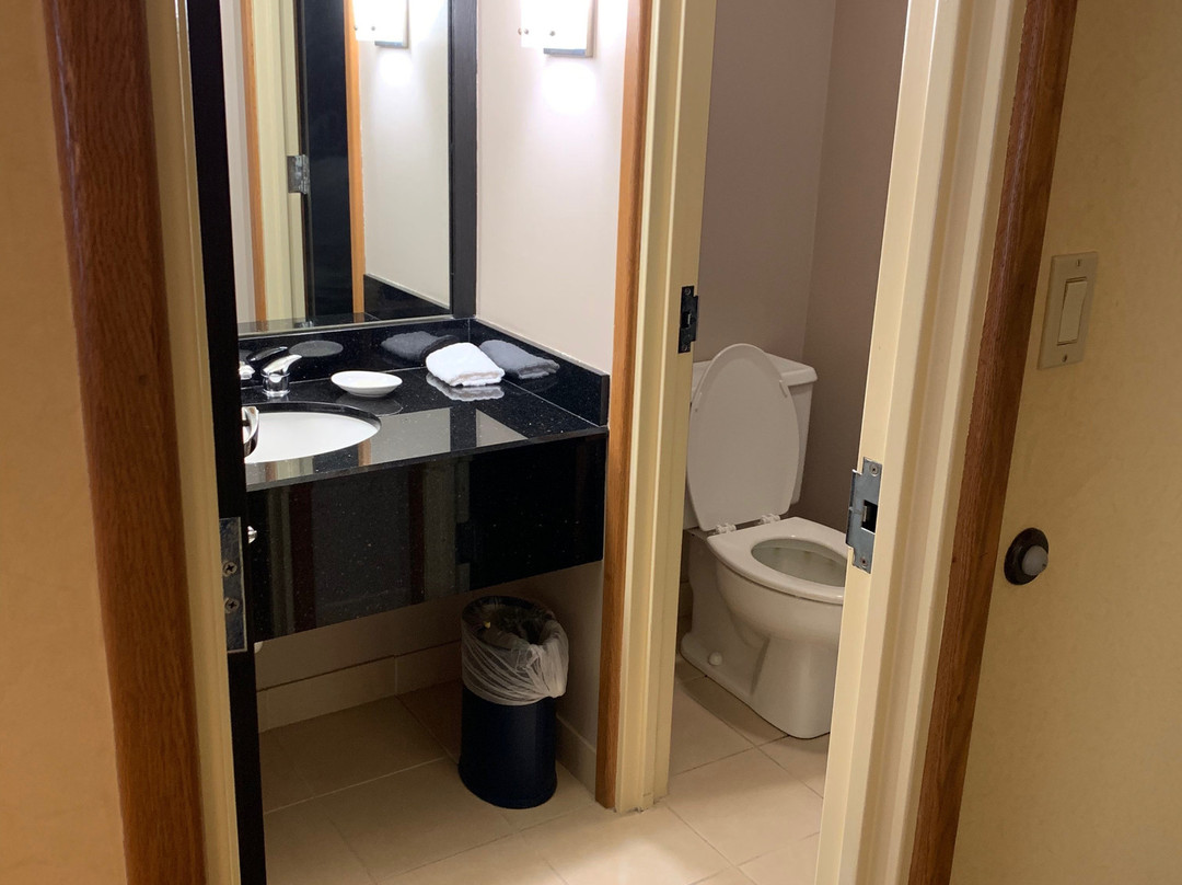 Best Western Plus University Inn主图