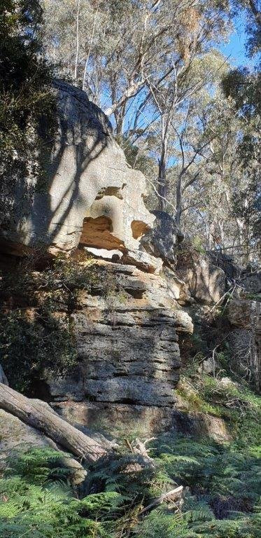 Ferntree Gully-Rylstone必去景点