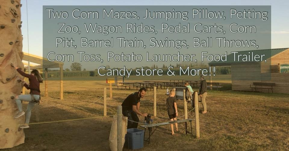 Youth Farm Corn Maze-Rosthern必去景点