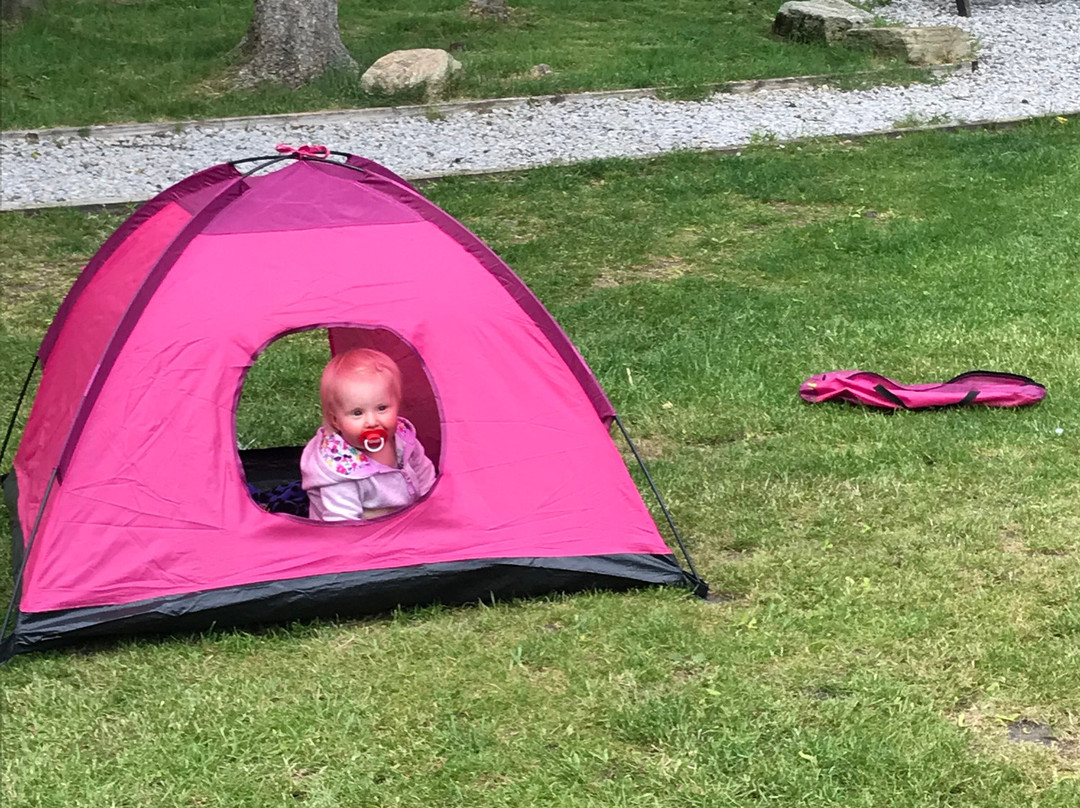 Crowden Camping and Caravanning Club Site