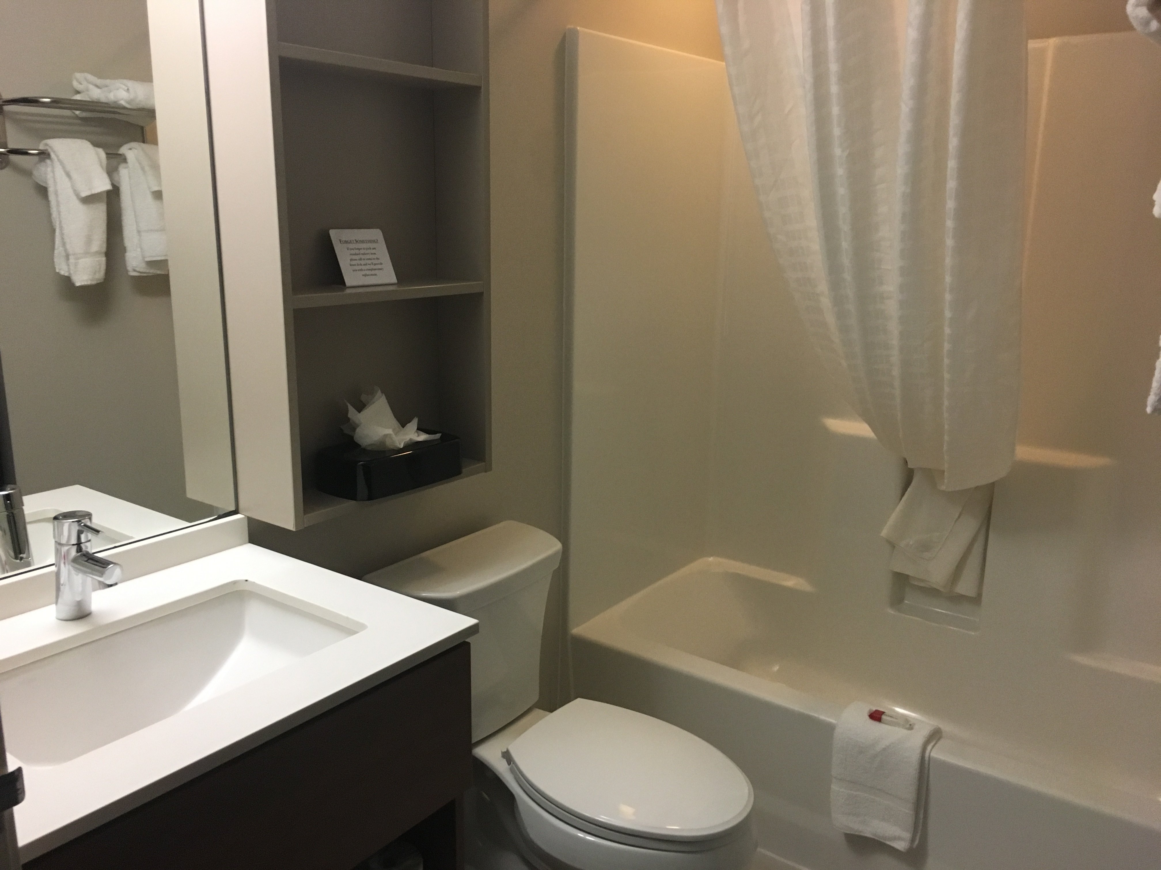 Microtel Inn & Suites by Wyndham Philadelphia Airport Ridley-浴室