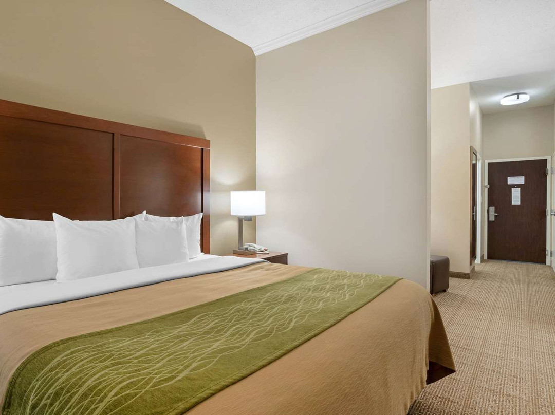 Comfort Inn & Suites Port Arthur - Port Neches主图