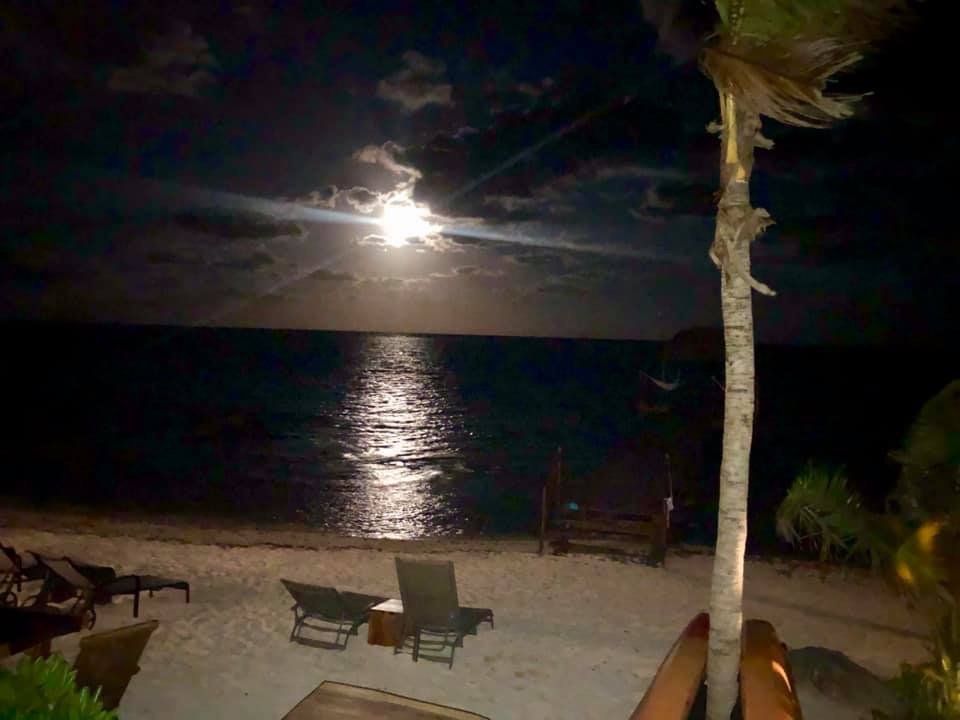 Hotel Cielo Maya Beach Tulum-泳池