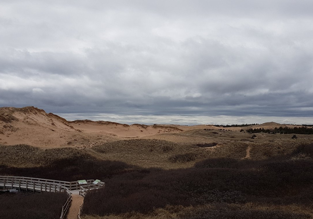 Prince Edward Island National Park景点图片