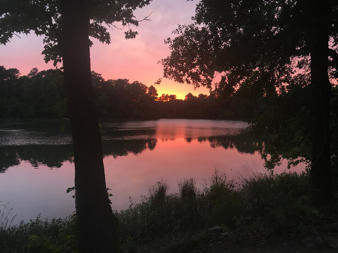 Kickerillo-Mischer Preserve-休斯顿必去景点